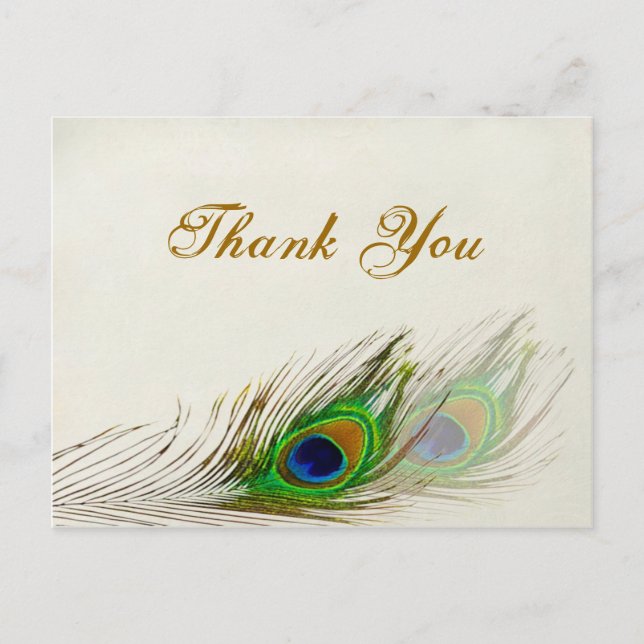 Pfauenfeathers Wedding Danke Postcard Postkarte (Vorderseite)