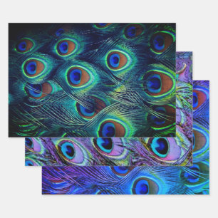 Pfauenfeathlon Geschenkpapier Set