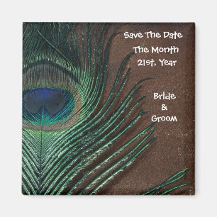 Pfauenfeder mit Braun und Gold Magnet