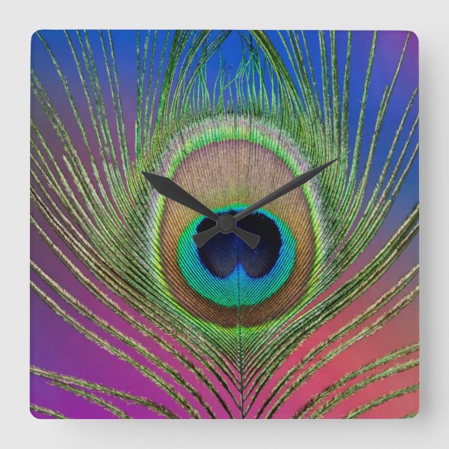 Pfauenfeder Quadratische Wanduhr (Vorderseite)