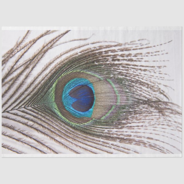 Pfauenfederhalter 3 Dekoupage Tissue Paper Seidenpapier (Vorderseite)