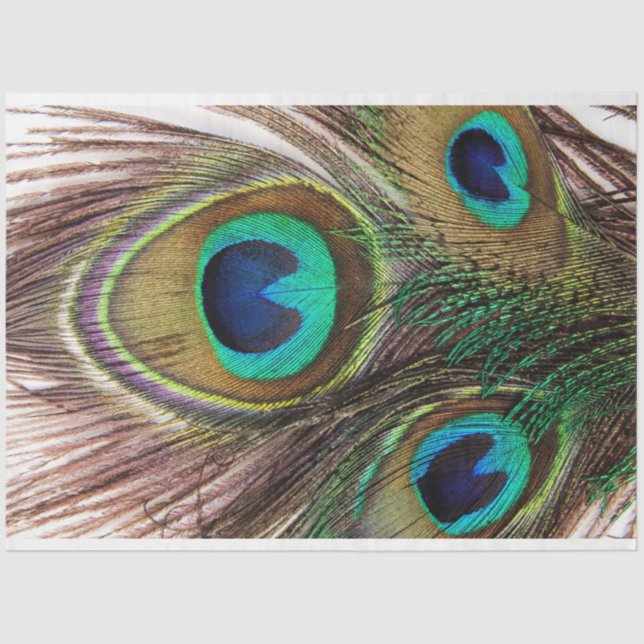 PfauenFedern 2 Dekoupage Tissue Paper Seidenpapier (Vorderseite)