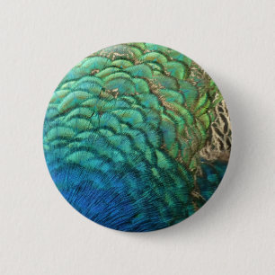 Pfauenfedern I Farbige abstrakte Naturgestaltung Button
