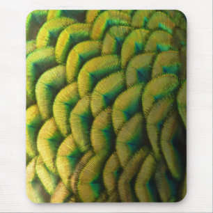 Pfauenfedern II Farbige Natur Mousepad