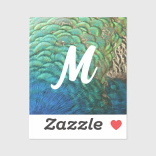 PfauenFedern in farbenprächtiger Abstrakter Natur Aufkleber