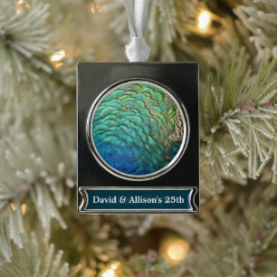 PfauenFedern in farbenprächtiger Abstrakter Natur Banner-Ornament Silber