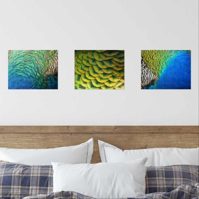 PfauenFedern in farbenprächtiger Abstrakter Natur Bilderwand Sets (Schlafzimmer)