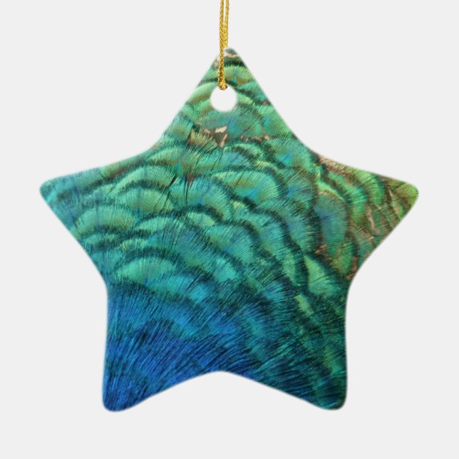 PfauenFedern in farbenprächtiger Abstrakter Natur Keramik Ornament (Vorne)