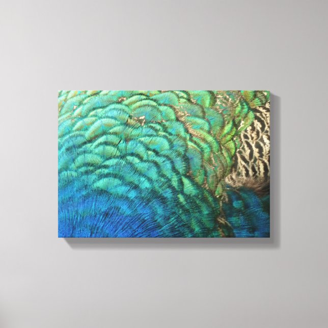 PfauenFedern in farbenprächtiger Abstrakter Natur Leinwanddruck (Vorderseite)