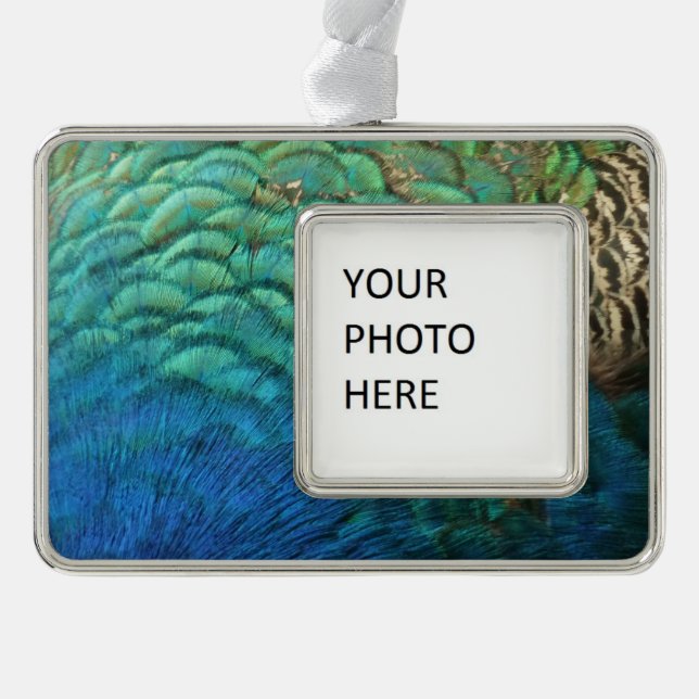 PfauenFedern in farbenprächtiger Abstrakter Natur Rahmen-Ornament Silber (Vorderseite)