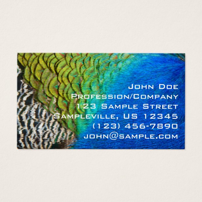 Pfauenfedern IV Farbenfrohe Abstrakte Natur (Vorderseite)