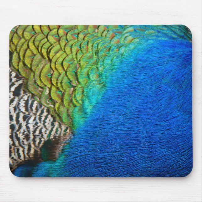 Pfauenfedern IV Farbenfrohe Abstrakte Natur Mousepad (Vorne)