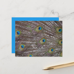 Pfauenfedern Kauai Postkarte