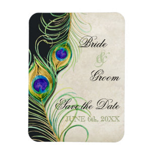 Pfauenfedern Schwarz Damast Save-the-Date Magnet