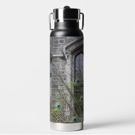 Pfauenfedern und gotische Fenster Trinkflasche