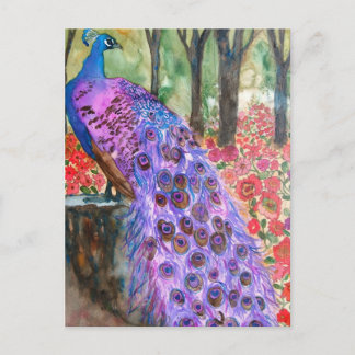 Pfauengarten Postkarte