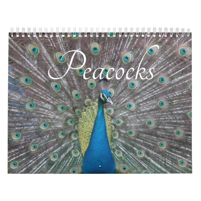 Pfauenkalender Kalender (Titelbild)