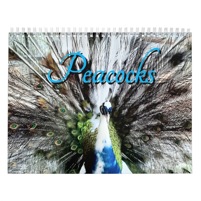 Pfauenkalender Kalender (Titelbild)