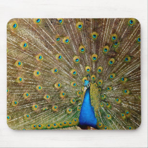 Pfauenmuster Pfauengeflecht Malerei Tier Ar Mousepad