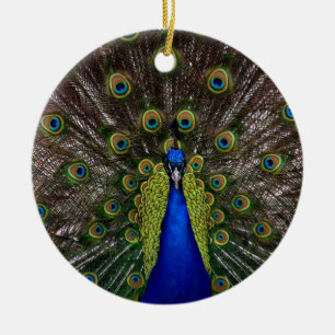 Pfauenornament Keramikornament
