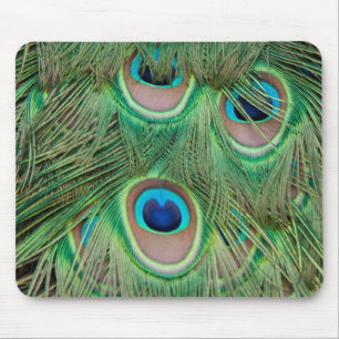 Pfauenplumpe Mousepad