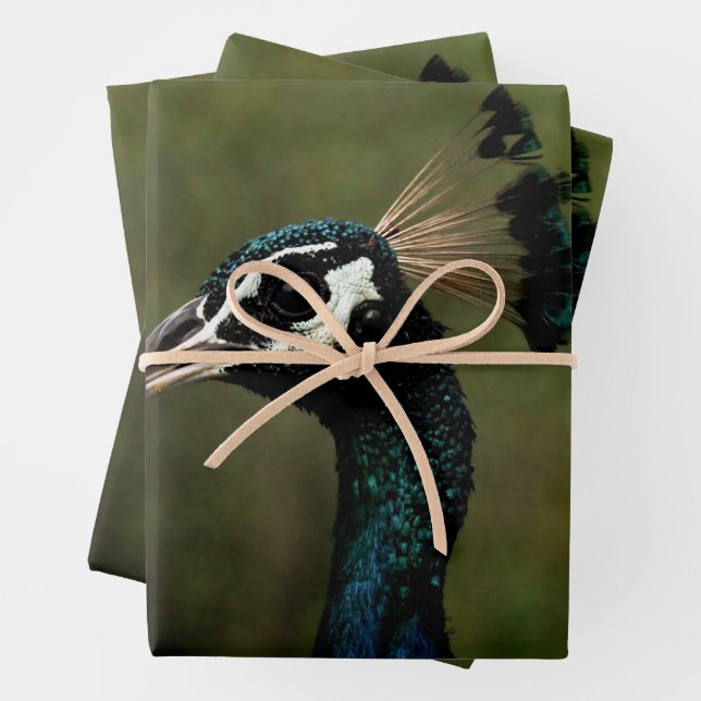 Pfauenprofil Geschenkpapier Set (Beispiel)