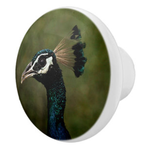 Pfauenprofil Keramikknauf