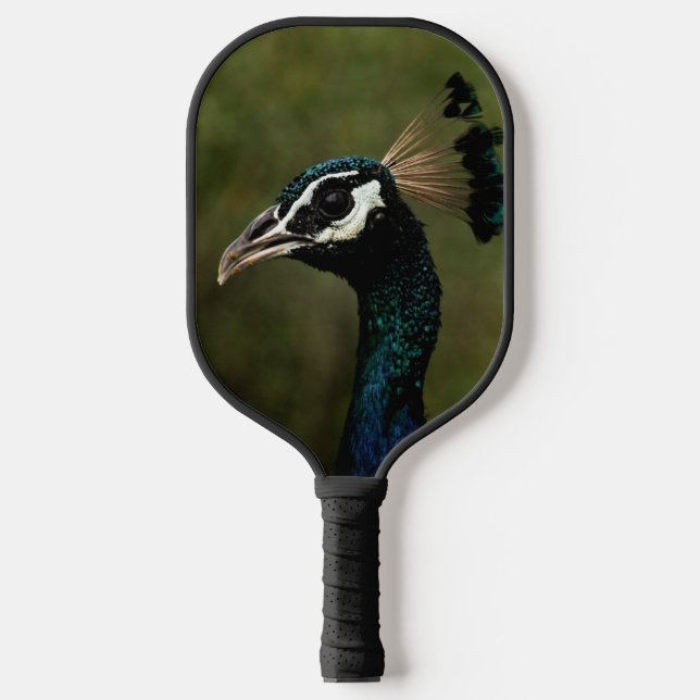 Pfauenprofil Pickleball Schläger (Vorderseite)