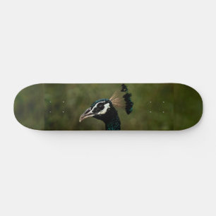 Pfauenprofil Skateboard