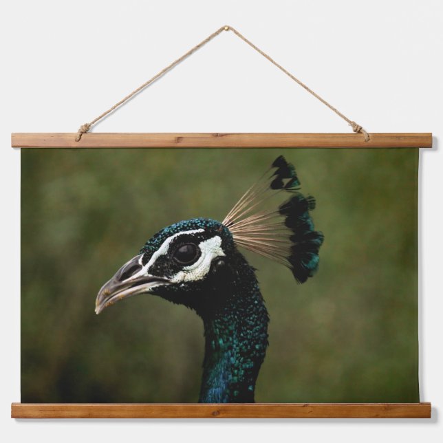 Pfauenprofil Wandteppich Mit Holzrahmen (Vorne)
