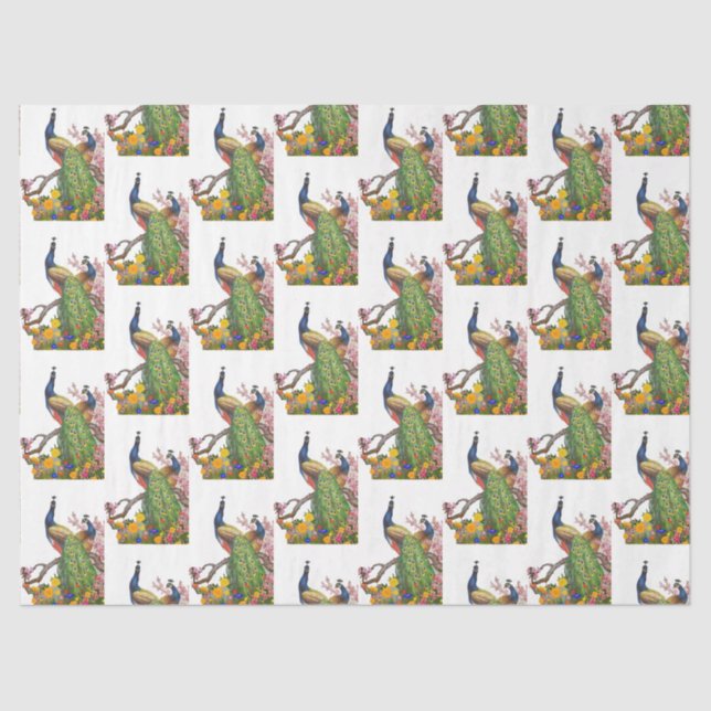 Pfauenreihe 7 seidenpapier (Vorderseite)