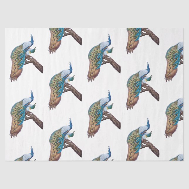 Pfauenreihe - Design 9 Seidenpapier (Vorderseite)