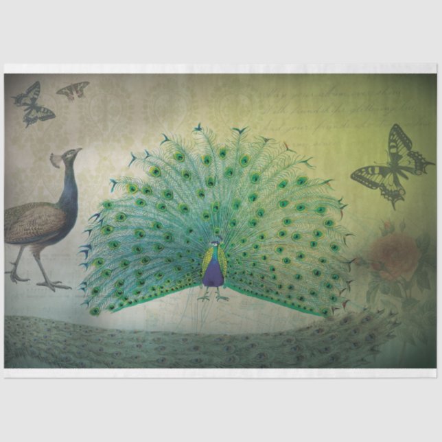 Pfauenrückseite Seidenpapier (Vorderseite)