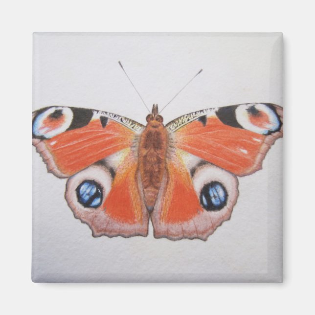 Pfauenschmetterling 2012 magnet (Vorne)