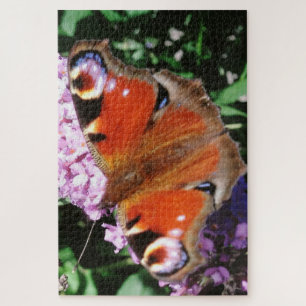Pfauenschmetterling auf Mauve Buddleia 20 x 30 101 Puzzle