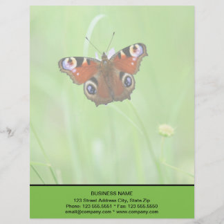 Pfauenschmetterling Briefbogen