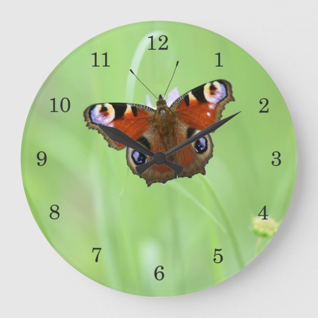 Pfauenschmetterling Große Wanduhr (Vorderseite)