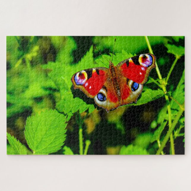 Pfauenschmetterling. Puzzle (Horizontal)