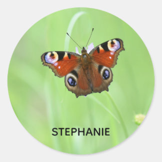 Pfauenschmetterling Runder Aufkleber