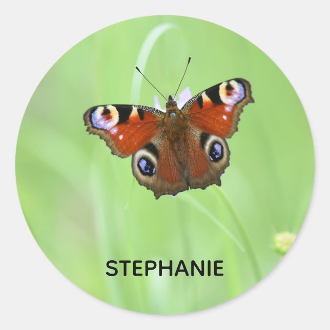 Pfauenschmetterling Runder Aufkleber (Vorderseite)