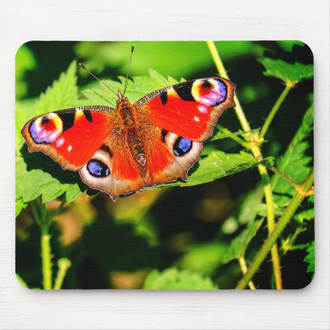 Pfauenschmetterling, Schmetterling, Blätter Mousepad (Vorne)