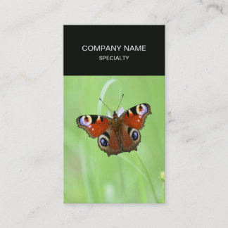 Pfauenschmetterling Visitenkarte