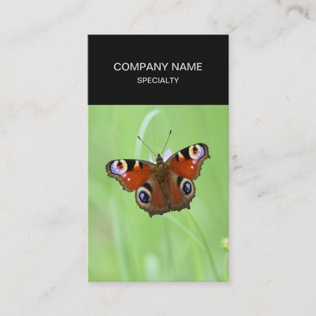 Pfauenschmetterling Visitenkarte (Vorderseite)