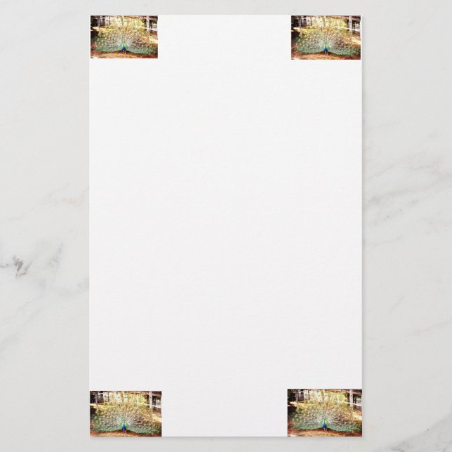 Pfauenstationery Briefpapier (Vorderseite)