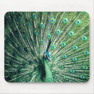 Pfauenstolz  mousepad