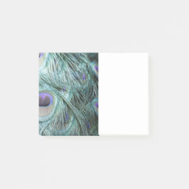 Pfaufedern Post-it Klebezettel