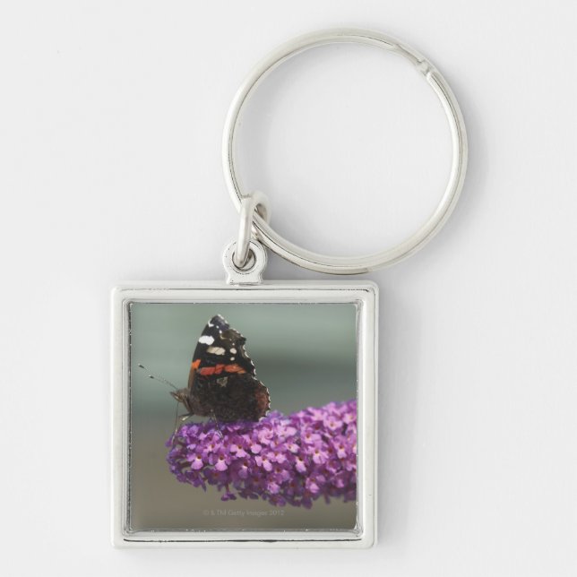 Pfauschmetterling auf Blume Schlüsselanhänger (Vorne)