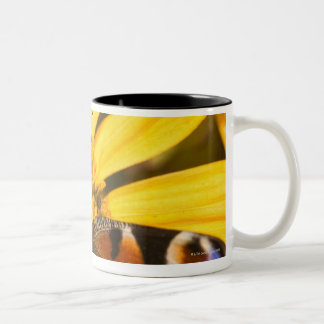 Pfauschmetterling Zweifarbige Tasse