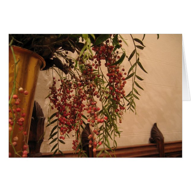 Pfeffer-Beeren (Vorderseite (Horizontal))