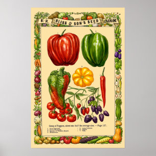 Pfeffersorten Retro viktorianische Ära Botanische Poster
